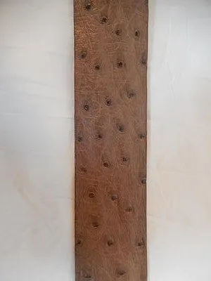 Los Altos Ostrich Belt