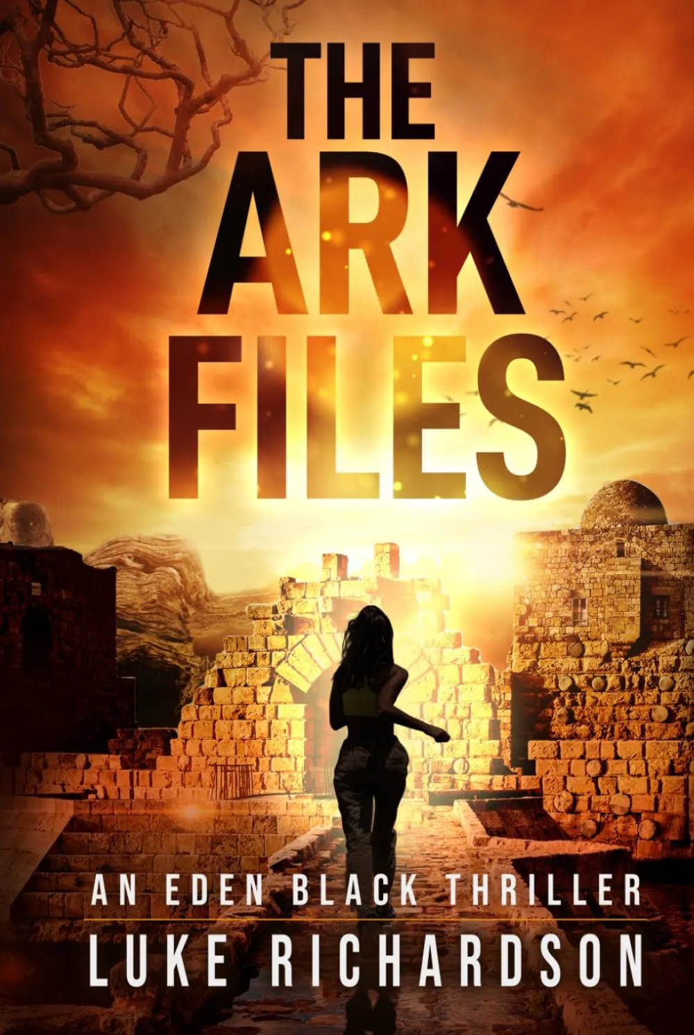 The Ark Files (Eden Black Archaeological Thrillers) Hardcover  September 16, 2022